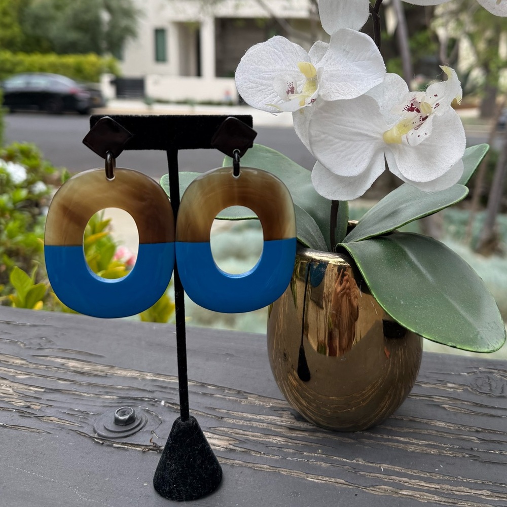 Elegant Blue and Brown buffalo horn lacquer Earrings